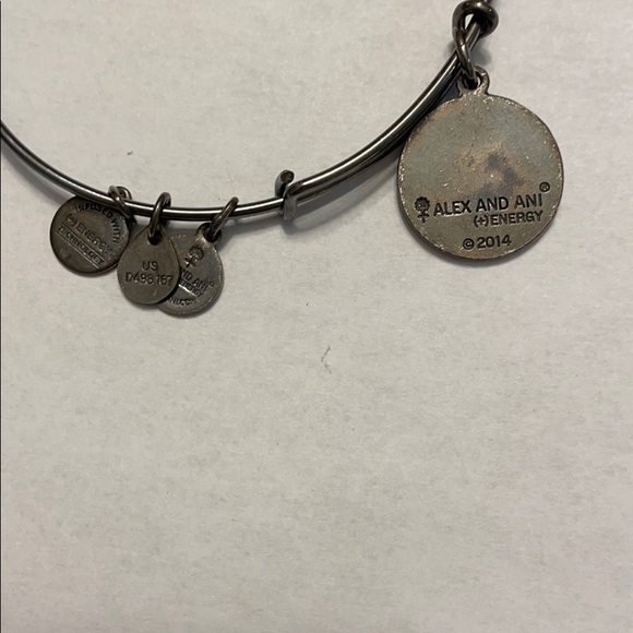Alex and Ani Bracelets - Picture 7 of 7